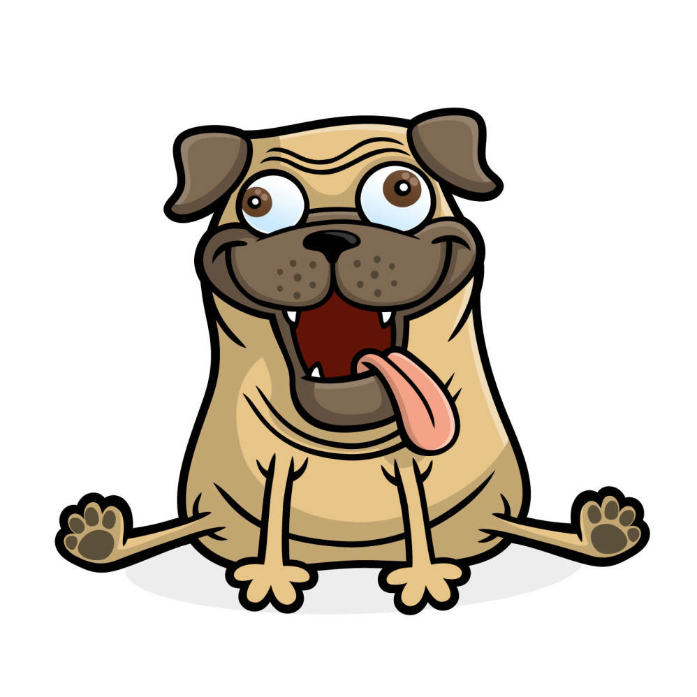 Pug Dog Sit