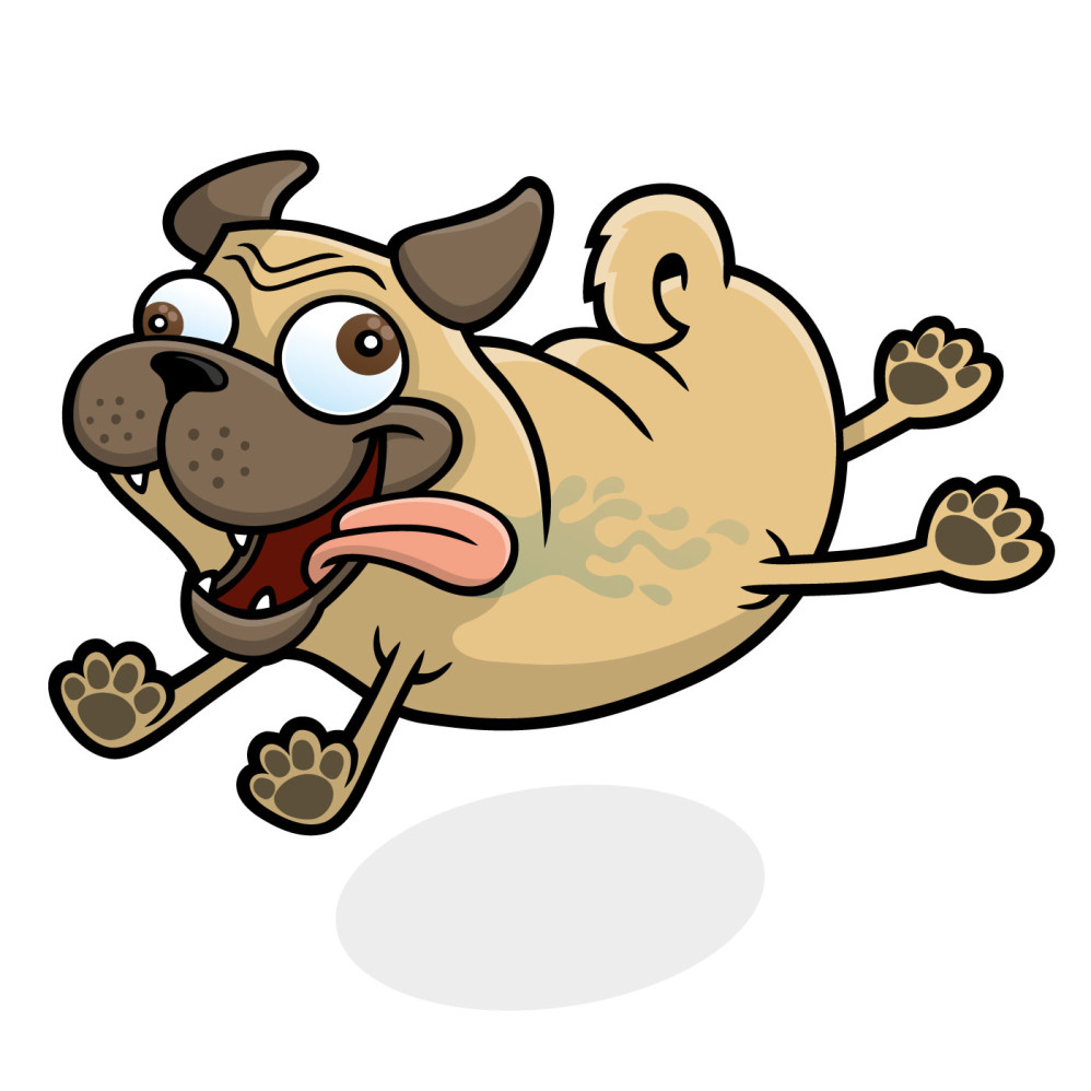 Pug Dog Running