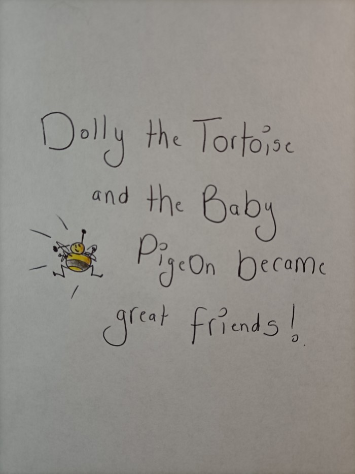 Dolly the Tortoise - page 4