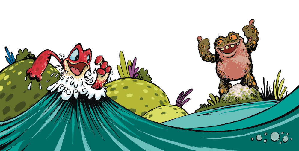 Frogs are good swimmers. Toads are not