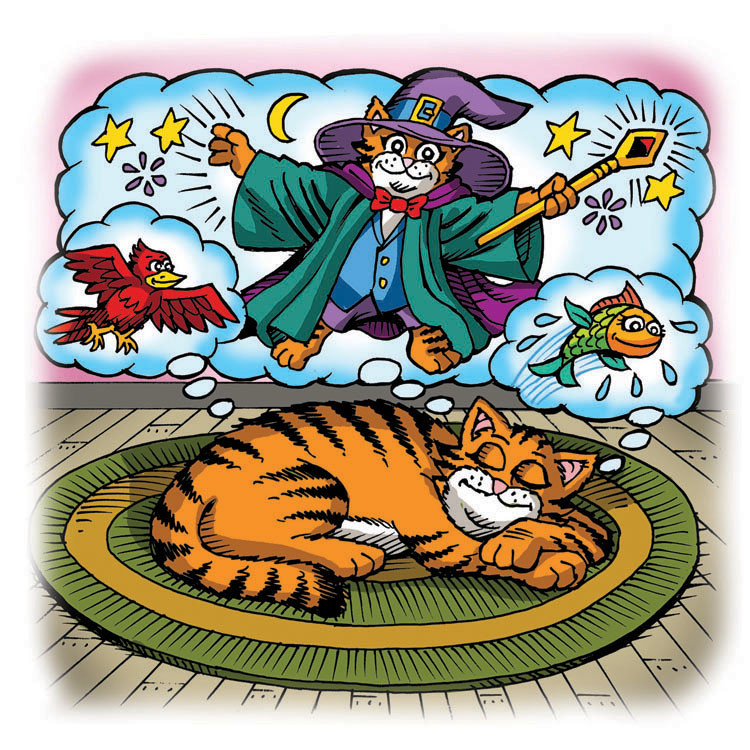 Image 08- A cat dreams of becoming a wizard