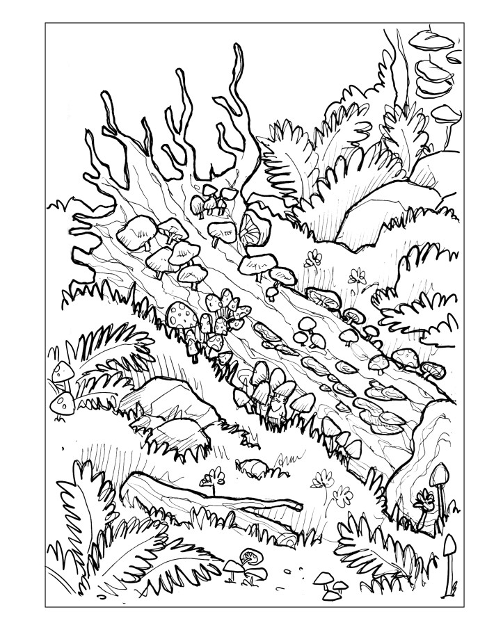 A lot of things - coloring book - full page - mushrooms