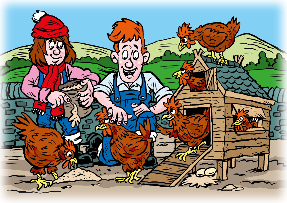 Feeding the chickens