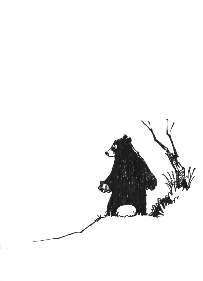 Bear In The Woods