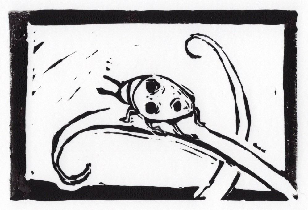 Ladybug in black and white