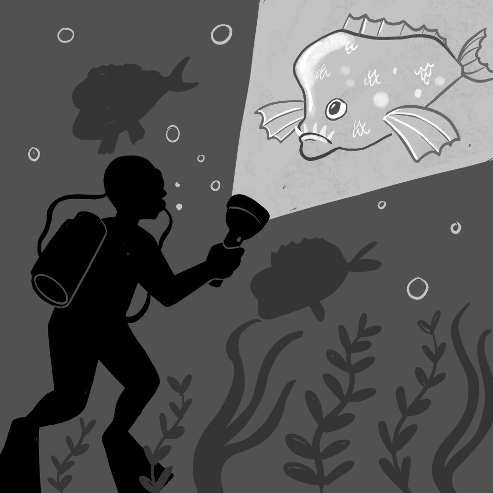 Mono illustrations for Cambridge University Press