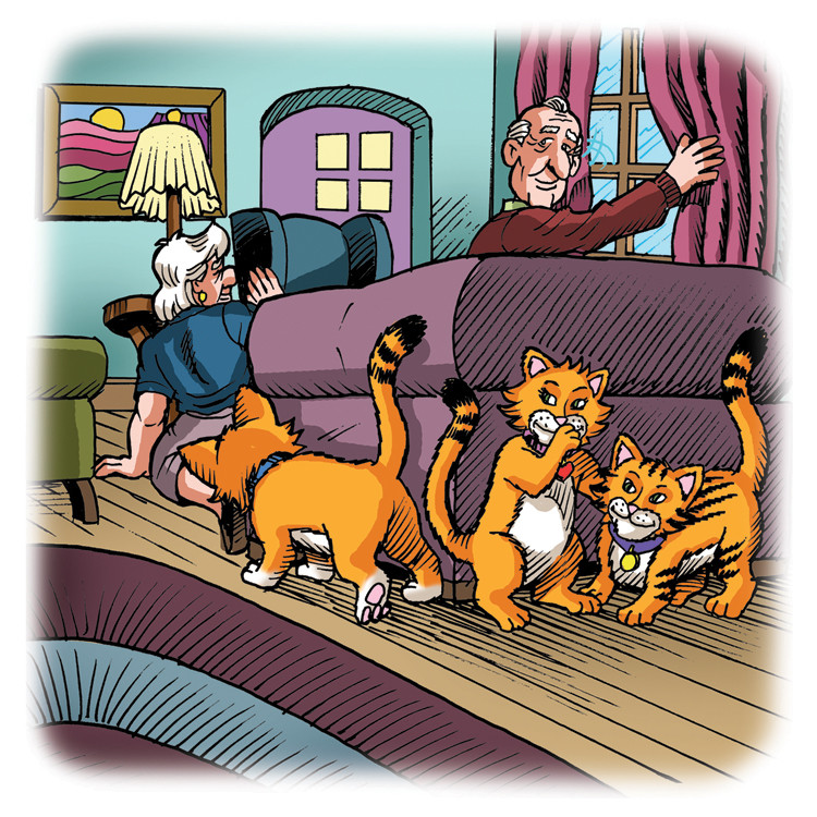Image 05- The kittens play hide and seek with Ma and Pa.