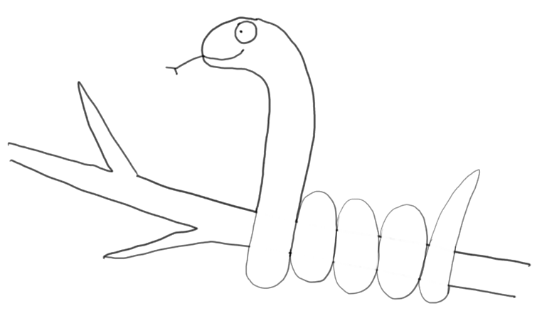 Snake