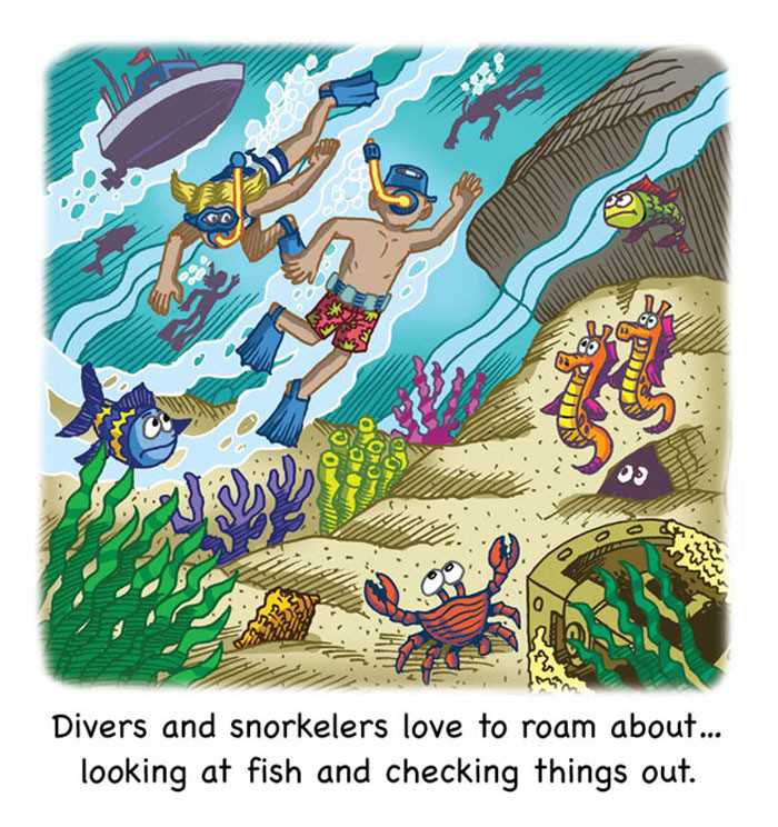 Image 03- Snorkelers exploring nature's undersea wonders.