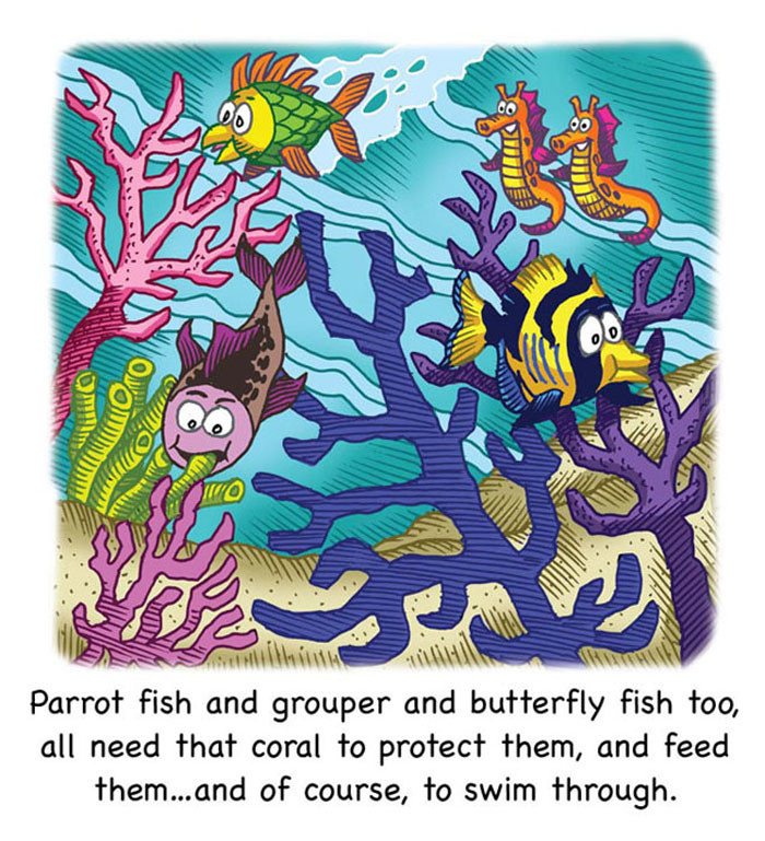 Image 05- Undersea creature nibble on coral reef.