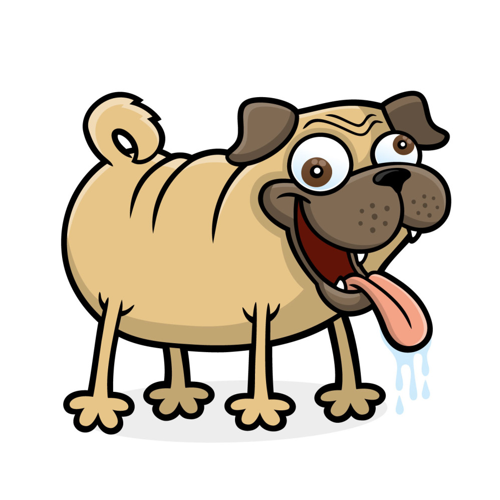 Pug Dog Dribble
