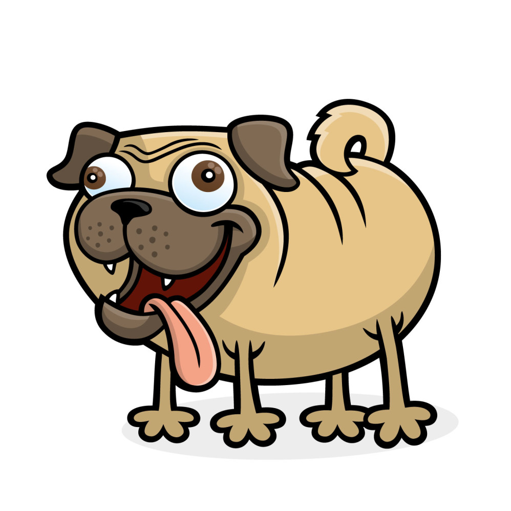 Pug Dog Standing