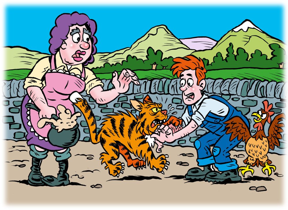 Feral cat