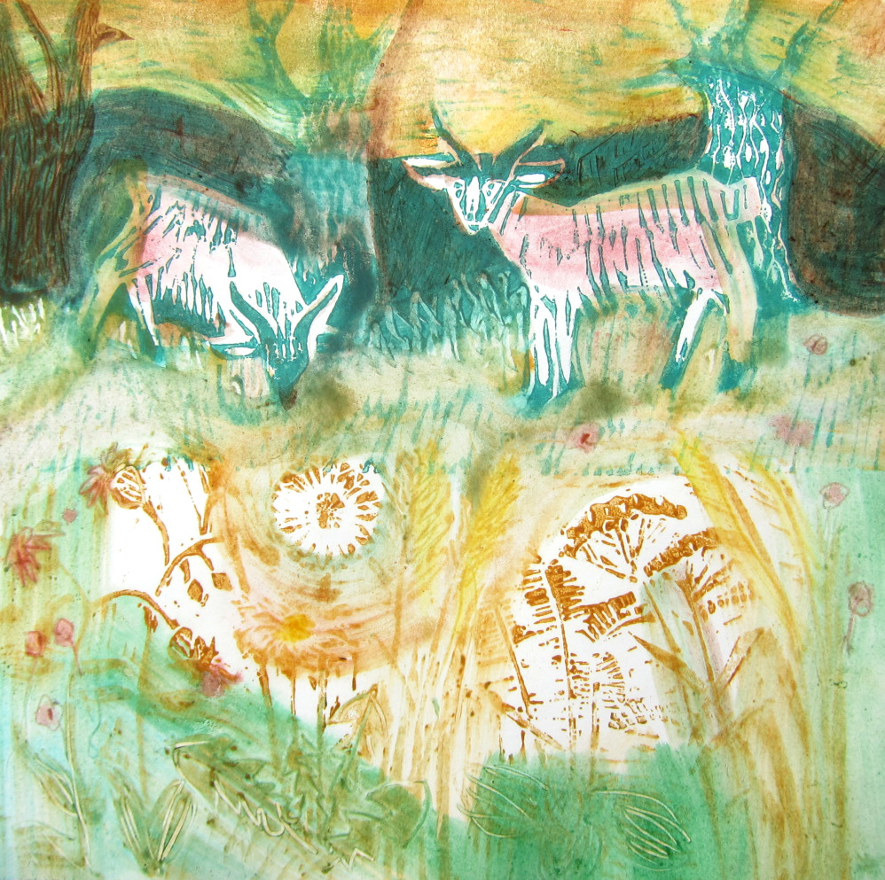 Kashmir Goats