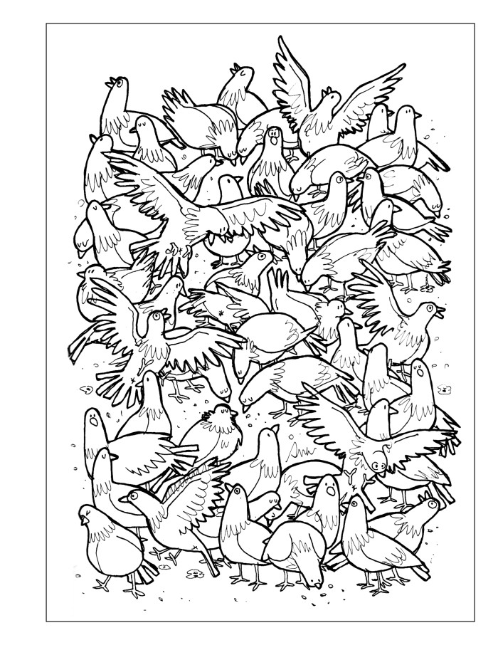 A lot of things - coloring book - full page - pigeons