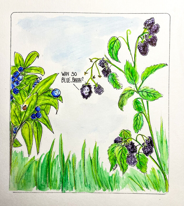 Berry Humor