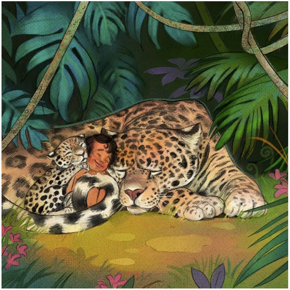 Tropics