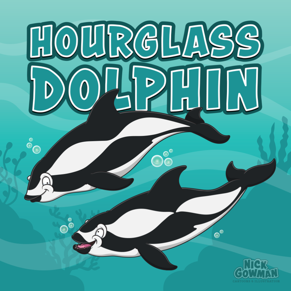 Hourglass Dolphin