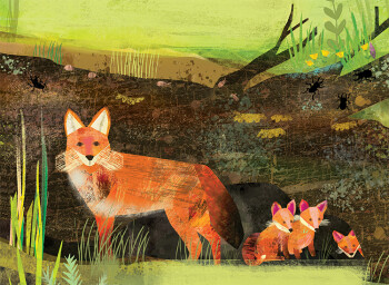 Fox Family