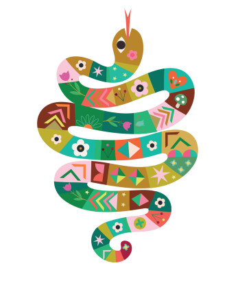 Mr. Snake