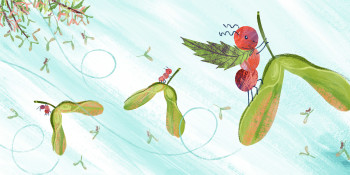 Flying Ants