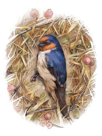 Sparrow