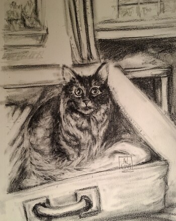Micah in a Suitcase