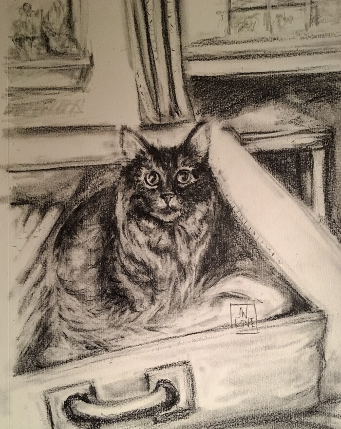 Micah in a Suitcase