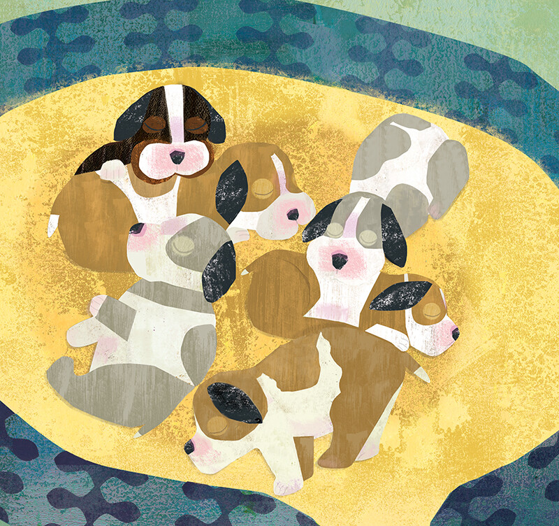 Newborn Puppies