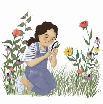 Nature Explorer