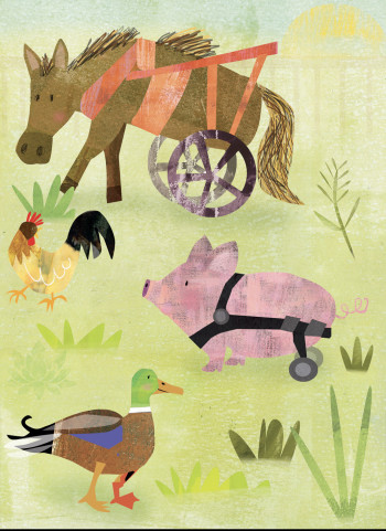 Animal Rehab