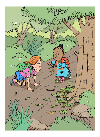 The millipede