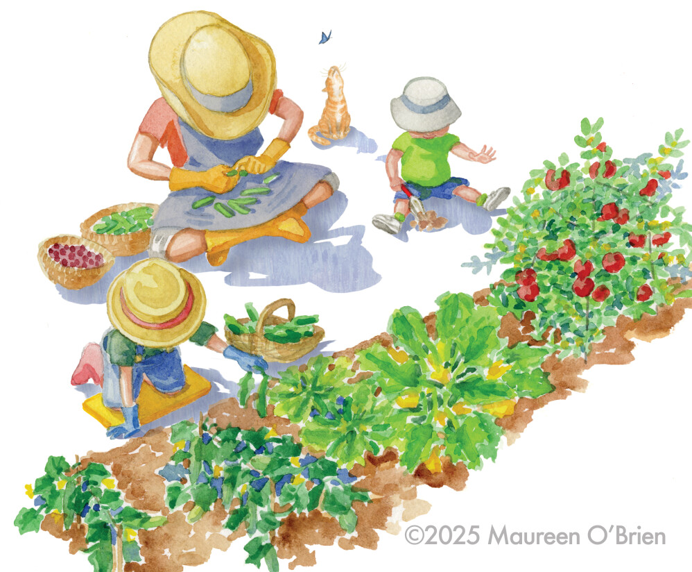 The Sugar Garden