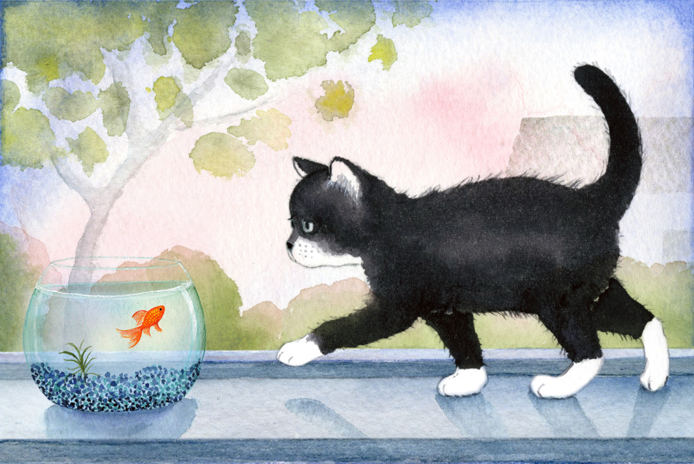 Cat & Fish