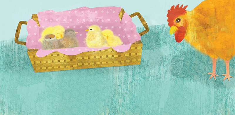 Baby Chicks