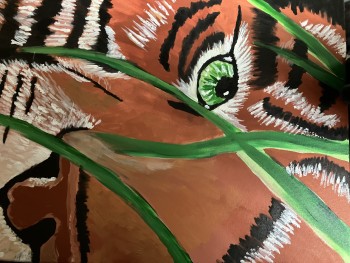Tiger Eyes