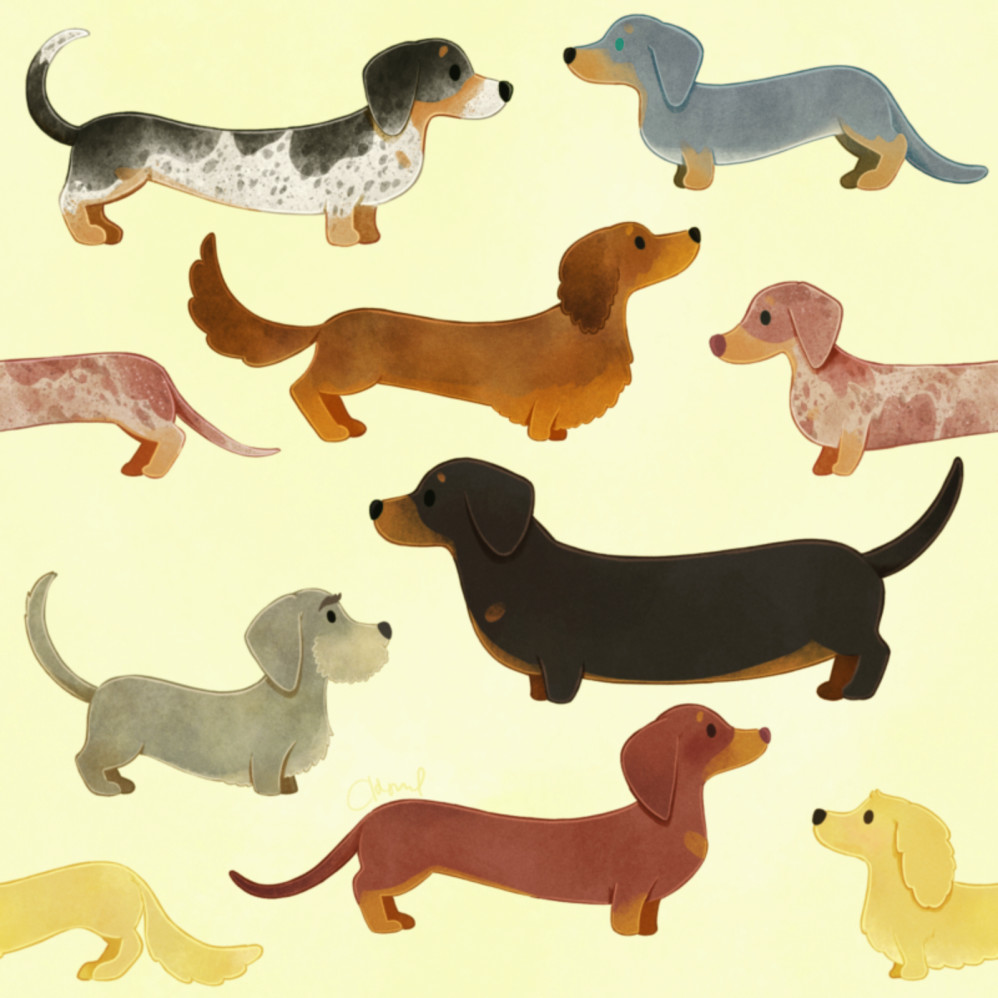 Dachshunds