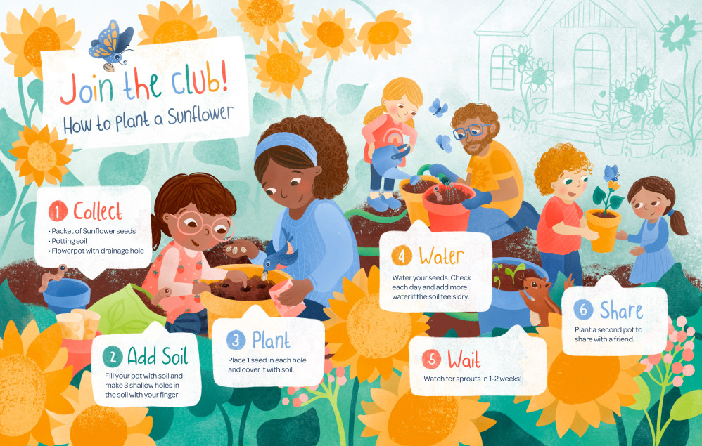Sunflower Infographic
