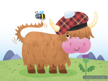 highland cow