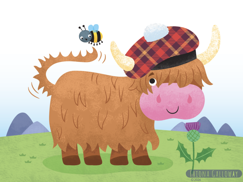 highland cow