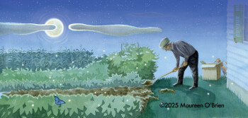 The Sugar Garden
