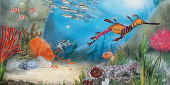 Ocean Life