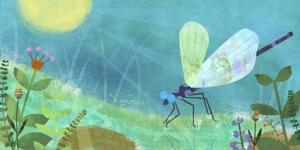 Dragonfly