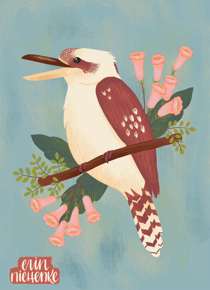 Kookaburra