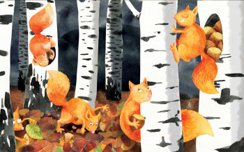 Squirrels