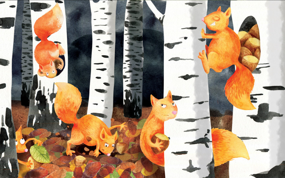 Squirrels