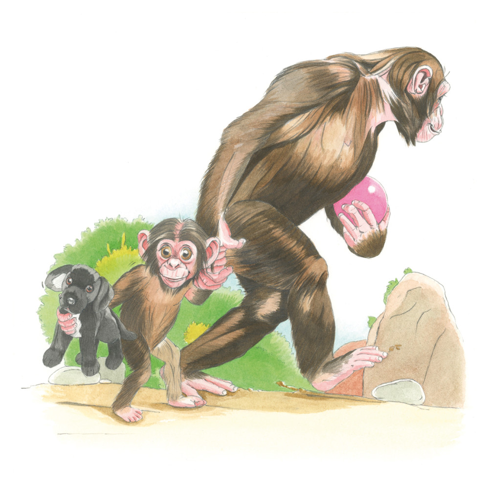 Monkey See Monkey Do. Monkey Can Do It, Can You?