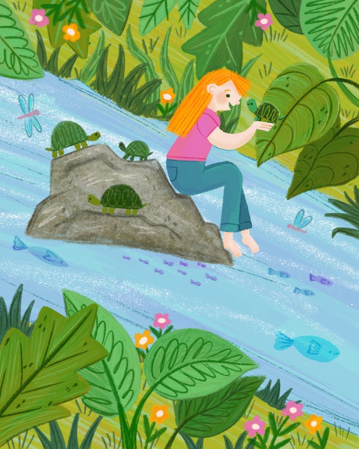 Turtle Island