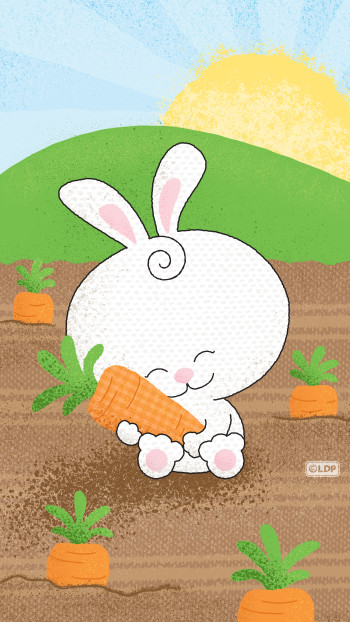 Bunny Hugs