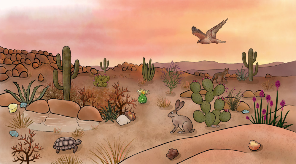 Arizona desert